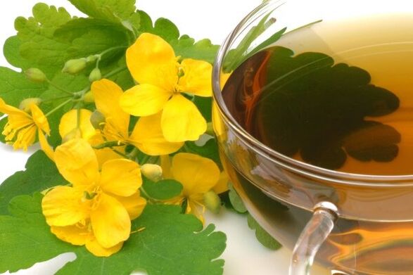 prostatit tedavisi için kırlangıçotu infüzyonu